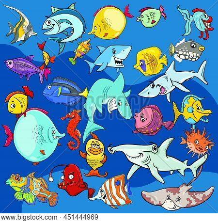 Cartoon Illustrations Of Fish Sea Life Animal Characters Background