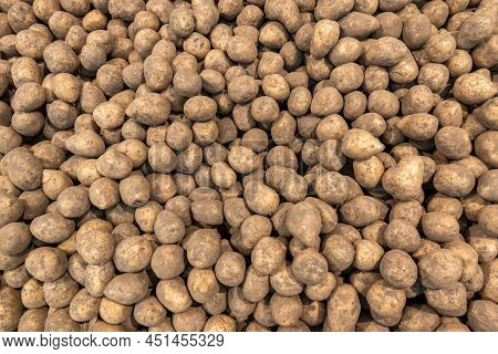 Pile Of Dirty Raw Unpeeled Potatoes - Full Frame Unadorned Potato Background
