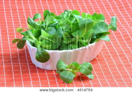 Insalata di mais