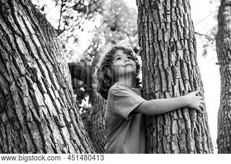 Young Boy Hugging A Tree Branch. Little Boy Kid On A Tree Branch. Child Climbs A Tree.