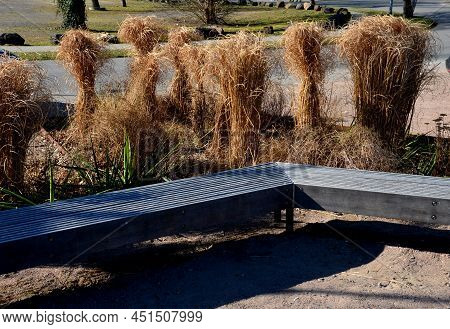 Japanese Tall Dry Grasses For The Winter Tied In Sheaves. In The Arch Of The Flowerbed Surround The 