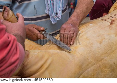 PAREDES DE COURA, PORTUGAL - MARCH 07, 2022: Butcher killed pig for old traditional ceremony in the north of Portugal