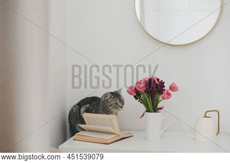 Gray Cat And Pink Tulip Bouquet In A Cozy Living Room. Spring Stll Life, Birthday, Easter Concept