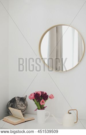 Gray Cat And Pink Tulip Bouquet In A Cozy Living Room. Spring Stll Life, Birthday, Easter Concept.