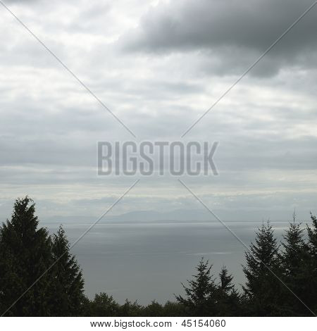 Tree Tops