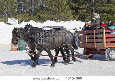 Horse Sleigh Ride