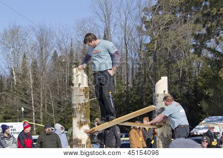 Lumberjack In Chopping Competition