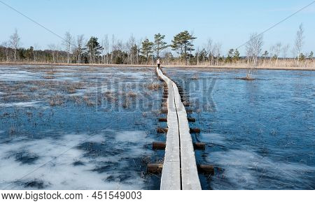 Tuhu Nature Tuhu Nature Walking Trail. Wooden Footbridges In The Swamp. Estonia