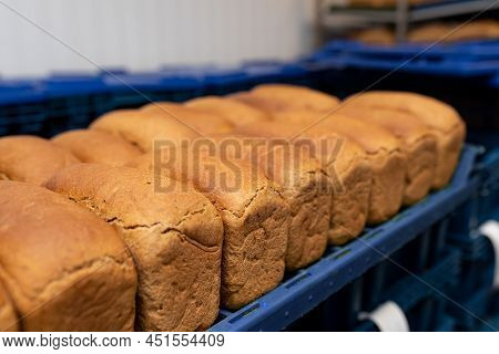 Loaves Of Bread On Blue Plastic Trays. Industrial Bakery With Fresh Bread On Racks. Close-up. Fresh 
