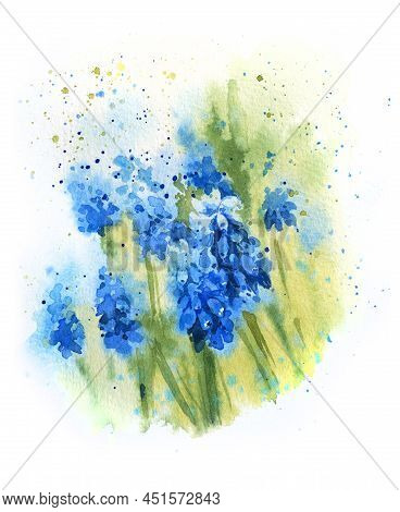 Hand Draw Watercolor Spring Flowers Hyacinths, Blue Flowers, Dots, Drops, Sketch