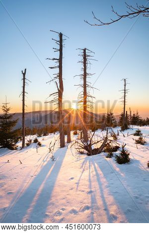Winter Sunset At The Mountain Slope With Dead Trees And Lots Of Snow. Remote Natural Reserve Smrk In