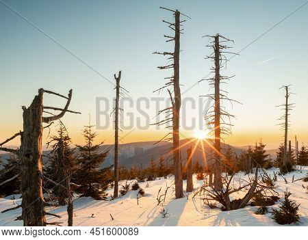 Winter Sunset At The Mountain Slope With Dead Trees And Lots Of Snow. Remote Natural Reserve Smrk In
