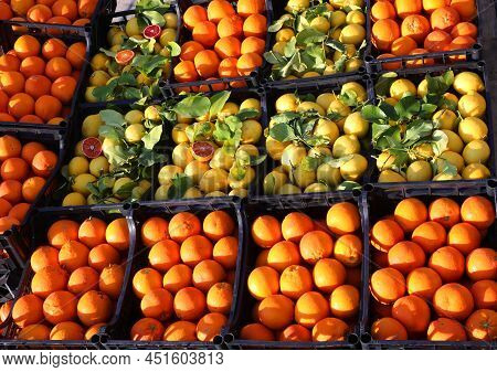 Many Crates Ripe Oranges And Yellow Organic Lemons With Green Leaves For Sale In The Stall At The Ma