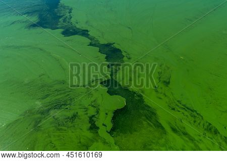 Water Pollution By Blooming Blue-green Algae - Cyanobacteria Is World Environmental Problem. Water B