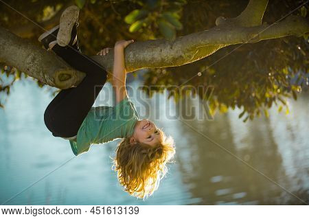 Child Boy Climbing High Tree In The Summer Park. Portrait Of Cute Kid Boy Sitting On The Tree, Climb