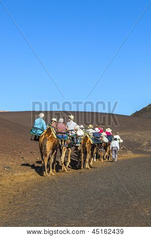 Turisté jezdit na velbloudech se řídí místními lidmi