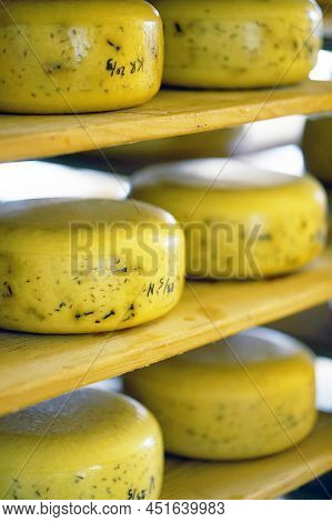 Yellow Cheese Heads. Whole Wheel Cheese On Shelfs From The Netherlands. Heads Of Cheese On Wooden Sh