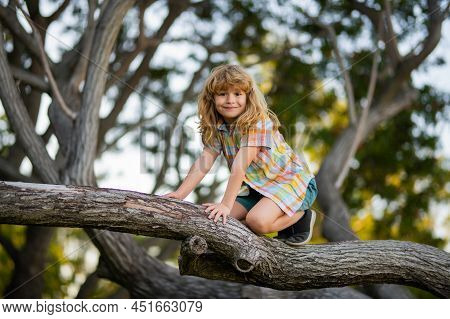 Child On A Tree Branch. Child Climbing In Adventure Activity Park. Insurance Kids. Kid Boy Playing A