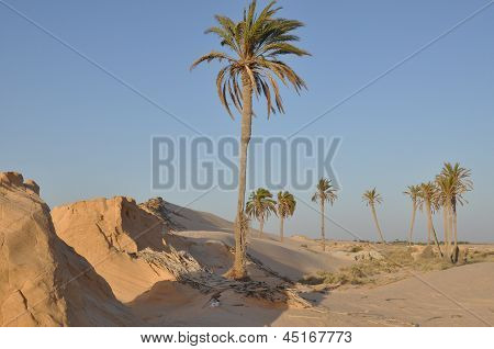 Fatnassa, Sahara nord, Tunisia