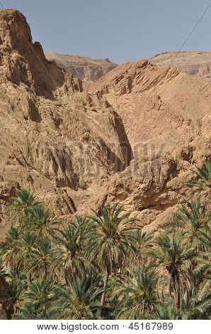 Oasi Chebika. Tunisia. Punto turistico. Turismo. Deserto del Sahara settentrionale.