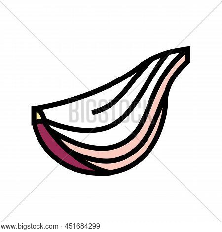 Scallion Onion Color Icon Vector. Scallion Onion Sign. Isolated Symbol Illustration
