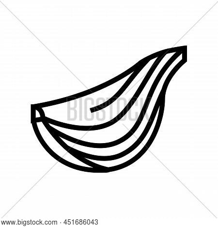 Scallion Onion Line Icon Vector. Scallion Onion Sign. Isolated Contour Symbol Black Illustration