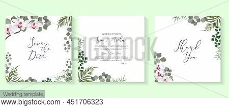 Vector Illustrationvector Herbal Wedding Invitation Template. Different Herbs, White Orchid, Green P