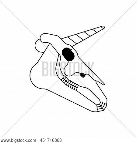 Unicorn Skull Isolated. Magic Horse With Horn Cranium. Vector Illustration