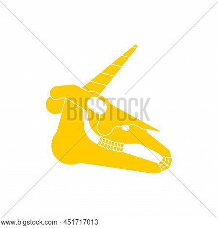 Unicorn Skull Isolated. Magic Horse With Horn Cranium. Vector Illustration