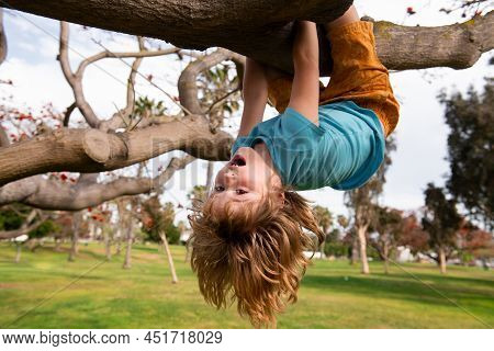 Cute Blonde Child Boy Hangs On A Tree Branch. Summer Holidays, Little Boy Climbing A Tree. Upside Do