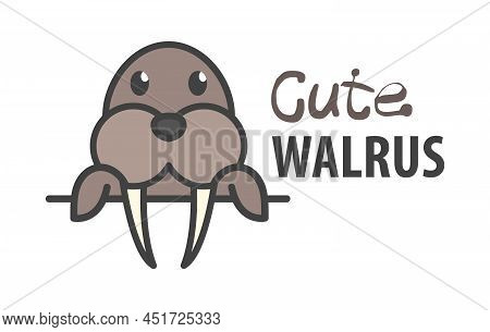 Logo Template With Cute Curious Walrus. Vector Logo Design Arctic Animal Template For Zoo, Veterinar
