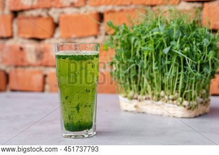 Wheatgrass Juice Was Made From Fresh Wheat And Poured Into A Glass. Glass Of Fresh Wheatgrass Juice.