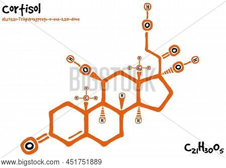 Large And Detailed Isolated Drawn Molecule And Formular Of Cortisol