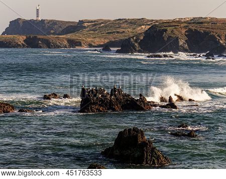 Image Of A Group Of Seagulls On The River Beach. Meiras, Valdoviño, Spain.