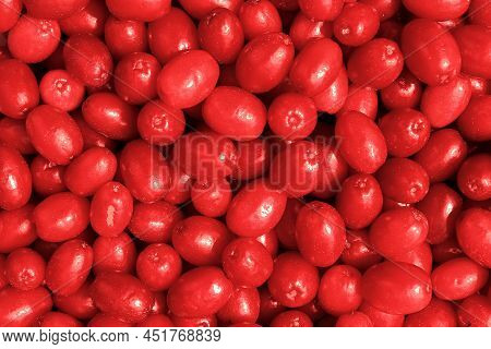 Cornus Mas, The Cornelian Cherry, European Cornel Or Cornelian Cherry Dogwood. It Is Sweet And Sour 