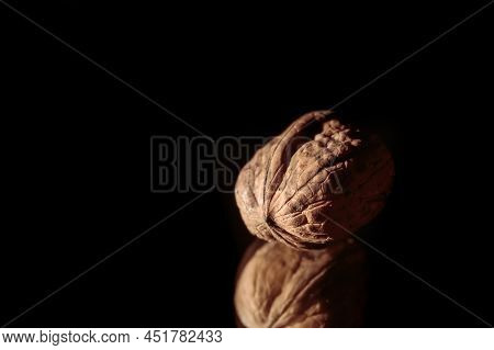 One Walnut Close-up. Healthy Food. Macro. Copy Space. Beautiful Still Life On Dark Background. Ingre