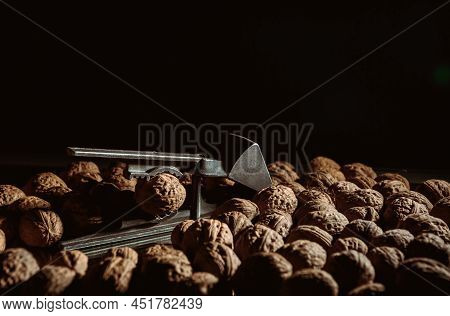 Walnut In Nutcracker Close-up. Copy Space. Beautiful Dark Background With Healthy Food Ingredient. U