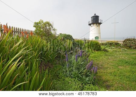 Punto segnale Montara nebbia e luce stazione con fiori