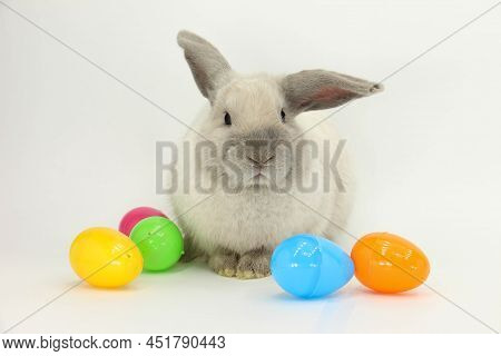 An Adorable Rabbit With Some Easter Eggs Against A White Background