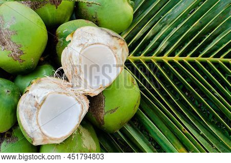 Young Fresh Sweet Thai Coconut Fruits With White Meat Put On Its Green Leaves For Summer Fruit Conce