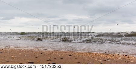 Huge Waves Raging In The Sea And Seagulls In The Spray Of Waves. Storm At Sea. Birds Fly Over The Wa