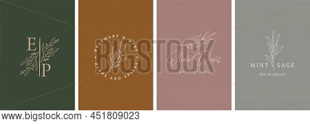 Elegant, Botanique Logo Collection, Hand Drawn Illustrations Of Flowers, Leaves And Twig, Delicate A