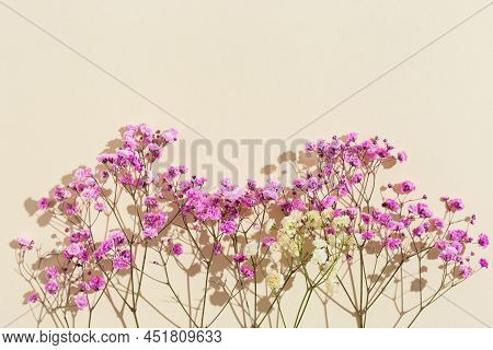 Small Pink Flowes Close Up On Beige Colored Paper. Floral Background. Minimal Style Aesthetic Photo 