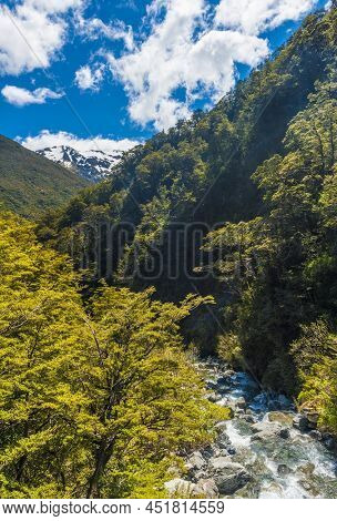 Bealey River could be found in the Arthur's Pass National Park, New Zealand