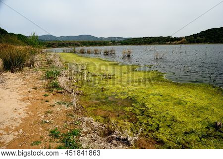 View Of Baratz Lake, Sassari, Nurra, Sardinia