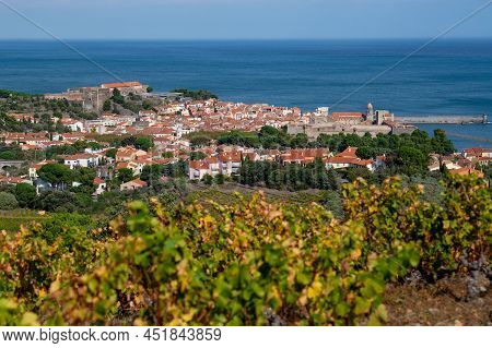 The Amazing Aerial View Over Collioure From Fort Saint Elme Surrounded By Vineyards, Vermeille Coast