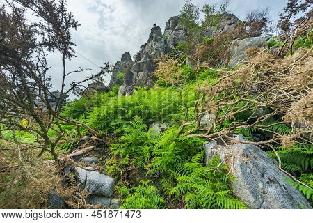 Roche Rock,ruins Of Chapel,surrounded By Green Summer Countryside,roche,cornwall,england,united King