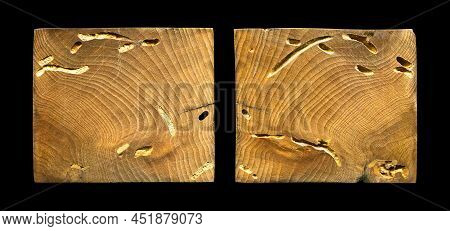 Wood Grain Texture. Wormy Hornbeam Wood, Can Be Used As Background, Pattern Background