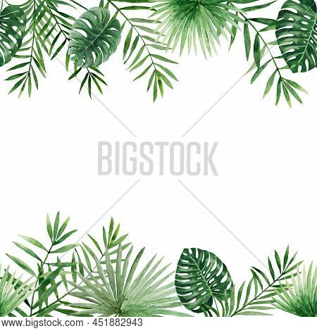 Tropical Twigs Branches Jungle Florals. Watercolor Free-hand Illustration For Postcard, Invitation, 