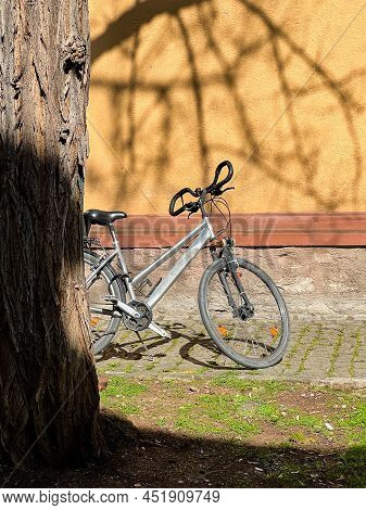 The Bike Stands Against The Wall With Shadows From The Branches Of The Tree